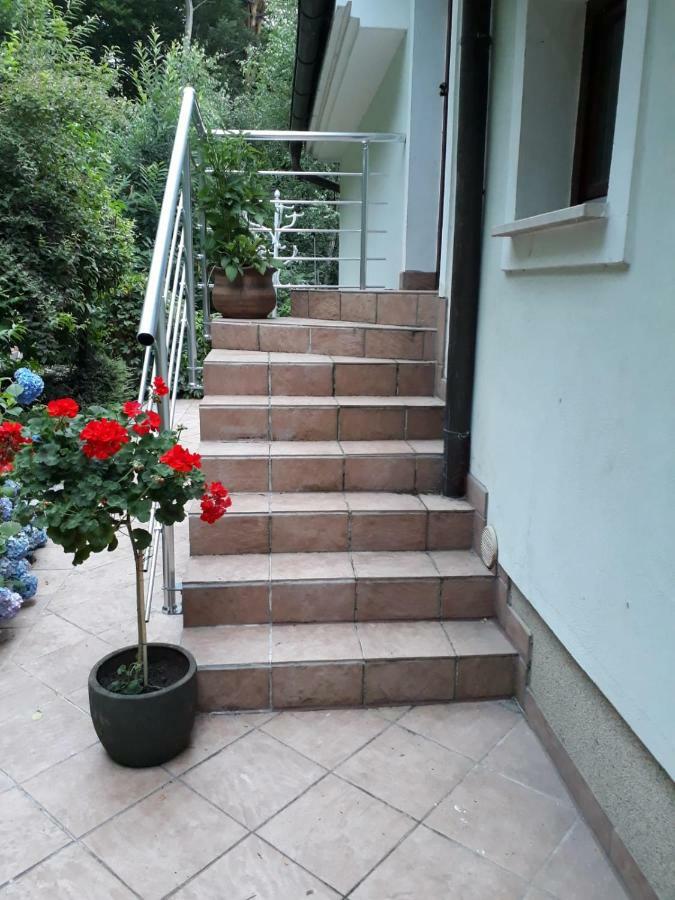 Apartma Dolomiti *